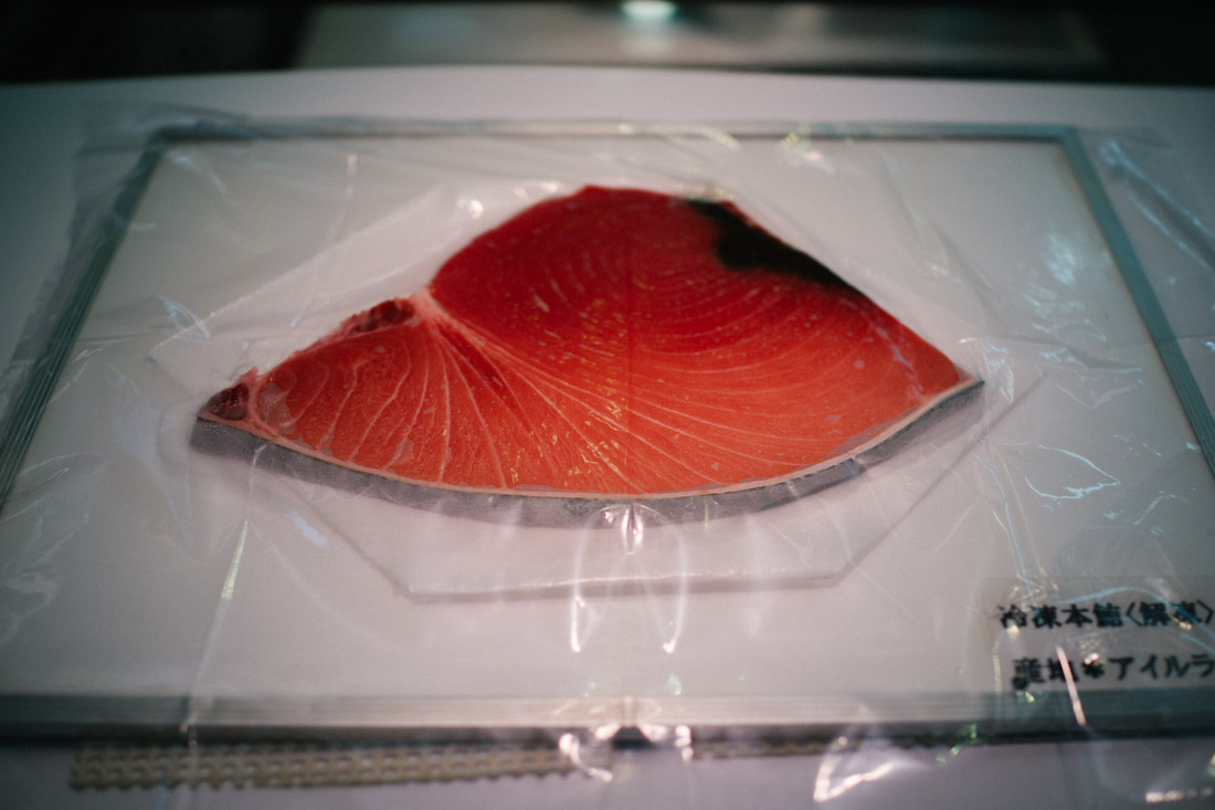 Tuna sample for buyers to see coloring and fat content — the fatter, the tastier, the better.