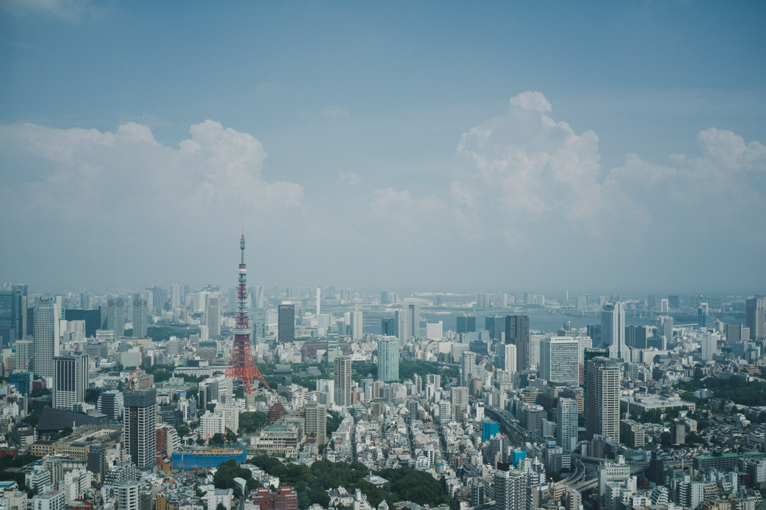 The unmissable, one-of-a-kind, Tokyo Tower on the left.